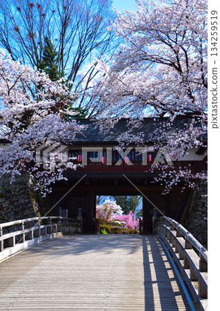 Spring Cherry Blossoms Suwa Takashima Castle Crowned Gate 134259519