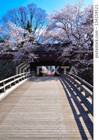 Spring Cherry Blossoms Suwa Takashima Castle Crowned Gate 134259521