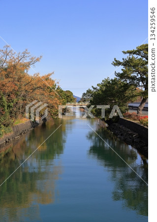 Shizuki River illuminated by the winter morning sun Shizuki River illuminated by the winter morning sun 134259546
