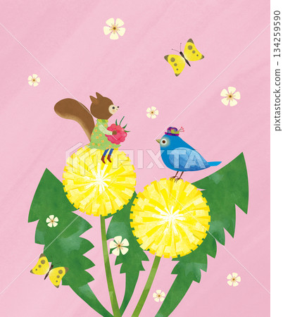 松鼠和小鳥 134259590