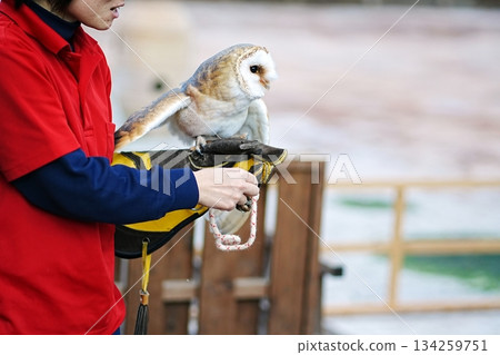 View of the Paradise Hall (Interactive Greenhouse) at Matsue Vogel Park 134259751