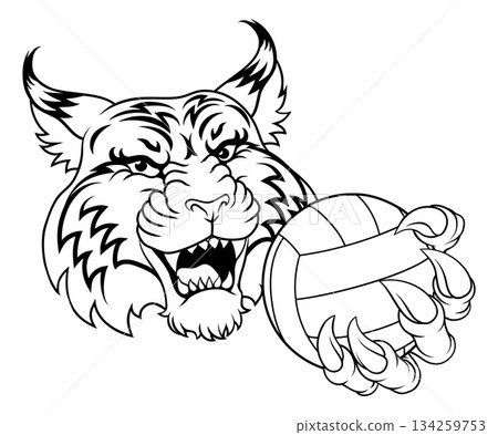 Wildcat Cougar Lynx Lion Volleyball Claw Mascot Wildcat Cougar Lynx Lion Volleyball Claw Mascot 134259753