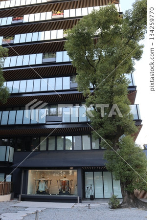 2024年，福岡，福岡市，風景，中央區，天神，神社，警固神社，第2部分 134259770