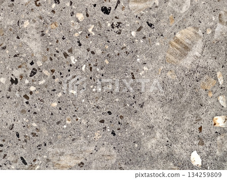 concrete look surface, modern polished terrazzo with diverse stone inclusions and subtle coloration 134259809