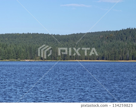 peaceful aquatic scene under sunny sky, calm blue lake vistas with vibrant treeline and gentle waves peaceful aquatic scene under sunny sky, calm blue lake vistas with vibrant treeline and gentle waves 134259823