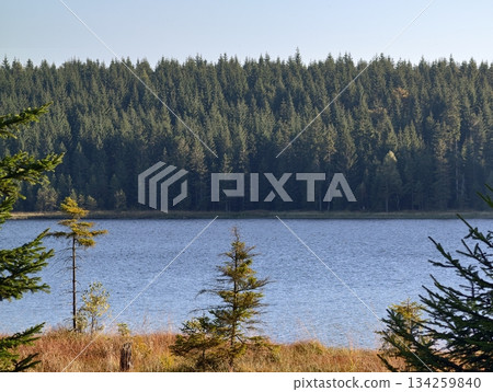 charming lakeside landscape illuminated, tranquil waters mirror evergreen trees and gentle fall charming lakeside landscape illuminated, tranquil waters mirror evergreen trees and gentle fall 134259840