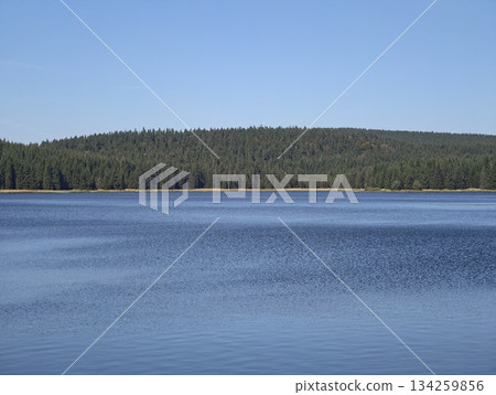 silent and vast lake with distant forest line under bright blue sky creating serene outdoor retreat 134259856