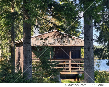 quiet woodland refuge, rustic retreat surrounded by fragrant pines and sunlight filtering through 134259862