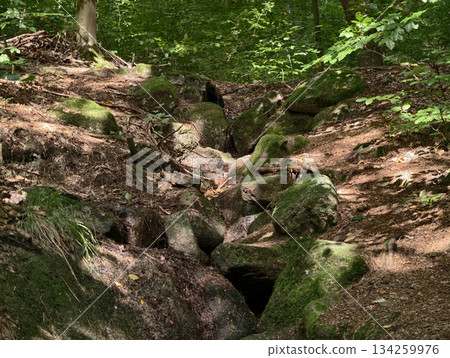 rugged landscape with mossy stones, scenic outdoor setting featuring mossy rocks and exposed bedrock rugged landscape with mossy stones, scenic outdoor setting featuring mossy rocks and exposed bedrock 134259976