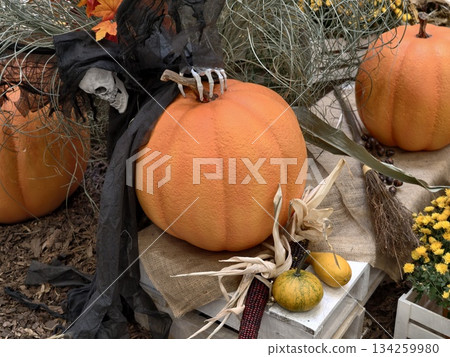 halloween props with natural elements, autumnthemed witch prop surrounded by dried plants halloween props with natural elements, autumnthemed witch prop surrounded by dried plants 134259980