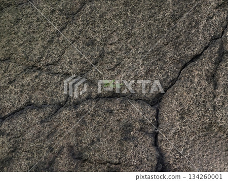 emerging seedling breaks through dry cracked earth symbolizing resilience amidst drought challenges 134260001