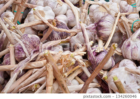Packs of fresh garlic with purple stripes on display at local food market, closeup detail Packs of fresh garlic with purple stripes on display at local food market, closeup detail 134260046