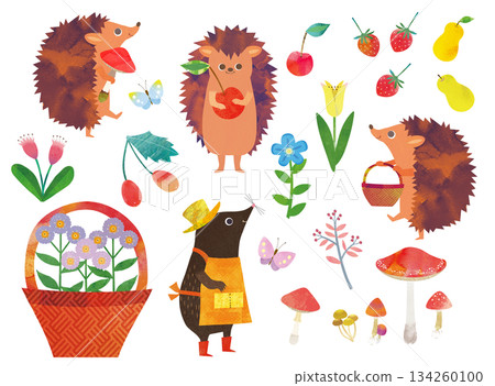 動植物卡通 動植物卡通 134260100