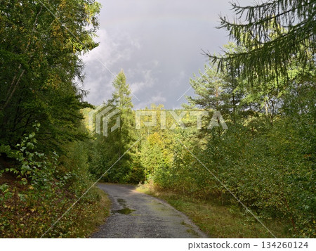 country roadway with stormy sky, scenic country route surrounded by dense greenery and dark clouds 134260124