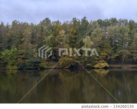 tranquil lake with reflected trees, calm aquatic landscape showcasing mirror images of seasonal tranquil lake with reflected trees, calm aquatic landscape showcasing mirror images of seasonal 134260130