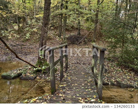 charming rustic riverside, serene footbridge over gentle streams, quaint wooden path beside tranquil charming rustic riverside, serene footbridge over gentle streams, quaint wooden path beside tranquil 134260133