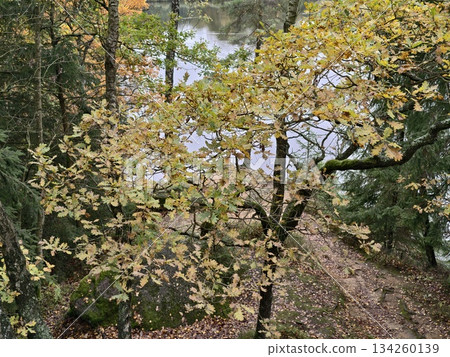 tranquil river reflecting sunset hues, peaceful dusk scene with mist and autumn colors reflecting 134260139