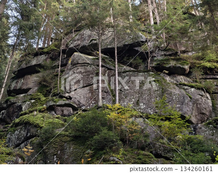 calm scene with vertical stone pillar surrounded by evergreen trees and intricate landscape features calm scene with vertical stone pillar surrounded by evergreen trees and intricate landscape features 134260161