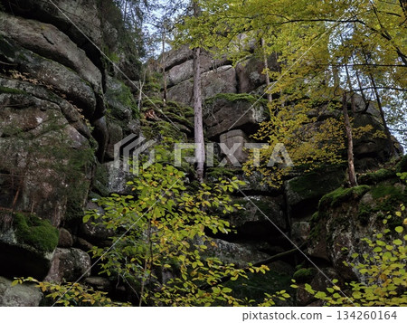 majestic cliff scene, grandeur of rugged stone formations under colorful autumn leaves with fissures majestic cliff scene, grandeur of rugged stone formations under colorful autumn leaves with fissures 134260164