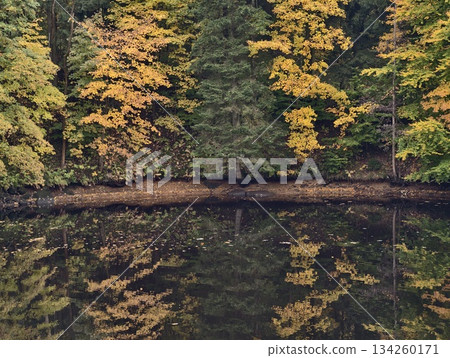 rich hues along riverbanks, serene landscape capturing seasonal coloration and peaceful surroundings 134260171