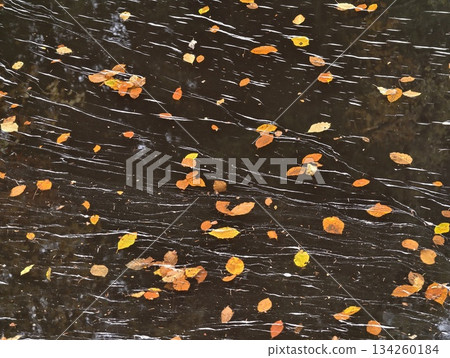 falling leaves reflections, drifting foliage over water surface with dynamic ripples and highlights falling leaves reflections, drifting foliage over water surface with dynamic ripples and highlights 134260184