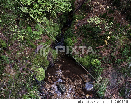 tranquil trail through lush surroundings, peaceful journey along mossy stream and rocky path 134260196
