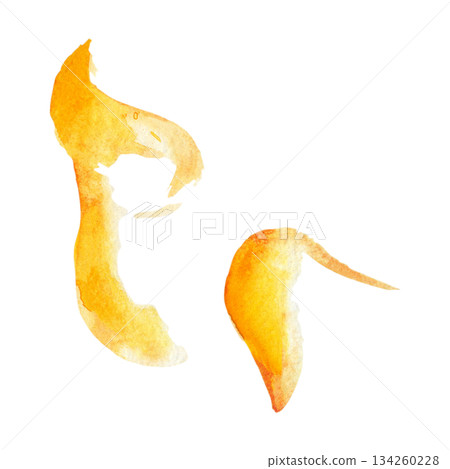 Smooth orange curving shapes, citrus zest peel or sunlight rays with blended gradient and light texture. Isolated watercolor illustration. Editorial design, fashion graphics, food or drink packaging 134260228