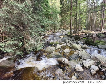 serene waterway in thick woods, quiet creek meandering through lush greenery and clear natural pools serene waterway in thick woods, quiet creek meandering through lush greenery and clear natural pools 134260273