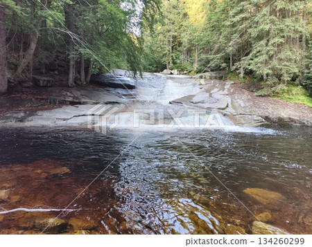 serene forest brook with fall reflections, peaceful woodland creek with amber hues and dappled shadows serene forest brook with fall reflections, peaceful woodland creek with amber hues and dappled shadows 134260299