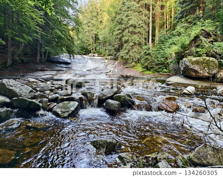 gentle river gently flows past old rocky terraces covered with colorful moss and thick foliage gentle river gently flows past old rocky terraces covered with colorful moss and thick foliage 134260305