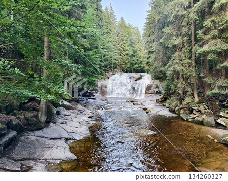 serene natural scene, tranquil waterfall flowing into hardy pool amid lively ferns and foggy cliffs serene natural scene, tranquil waterfall flowing into hardy pool amid lively ferns and foggy cliffs 134260327