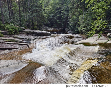 serene woodland setting for reflection, tranquil park with rocky outcroppings and leafy canopy 134260328