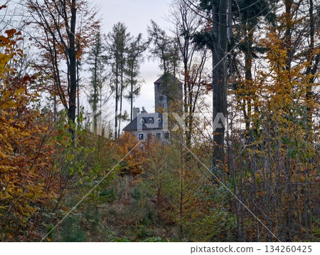 remote stone house beneath pines, secluded stone structure surrounded by towering trees and swirling fog 134260425