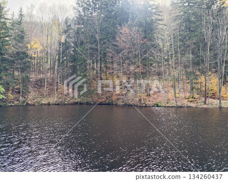 gentle lake surrounded by seasonal trees offering ideal environment for relaxation and outdoor drawing gentle lake surrounded by seasonal trees offering ideal environment for relaxation and outdoor drawing 134260437