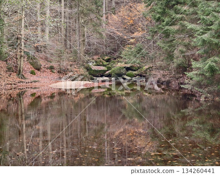 tranquil hidden pond surrounded by greenery, private forest basin with lush moss and reflective surface tranquil hidden pond surrounded by greenery, private forest basin with lush moss and reflective surface 134260441