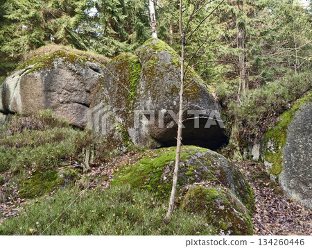 shaded mossy opening into rocky refuge, enclosed mossy cave entrance offers mysterious shelter and tales 134260446