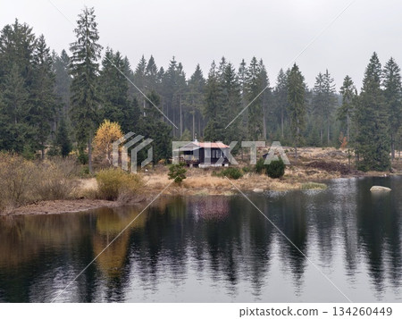 serene lakeside retreat, relaxing cabin nestled by water with rustling reeds and calming atmosphere 134260449