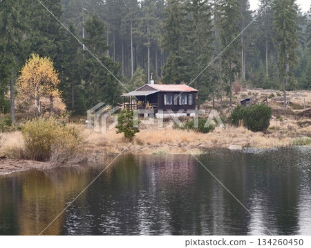 serene forest cabin getaway, remote rural lodge surrounded by towering pine and birch trees 134260450