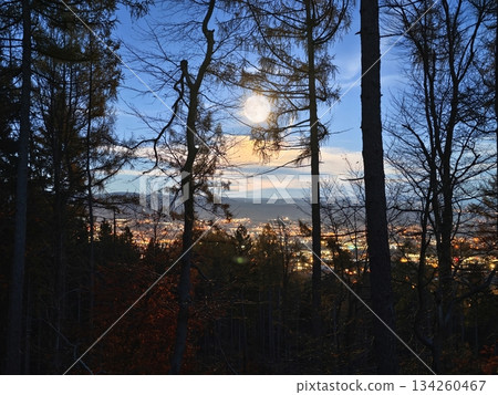 serene woodland setting with radiant orb overlooking distant illumination for stargazing and storytelling serene woodland setting with radiant orb overlooking distant illumination for stargazing and storytelling 134260467