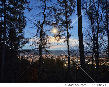 illuminated city under starry night sky, serene moonlit woods surround luminous distant settlement illuminated city under starry night sky, serene moonlit woods surround luminous distant settlement 134260471
