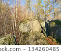 serene forest with stones and light, quiet hillside featuring natural stone formations and leafy ground cover 134260485