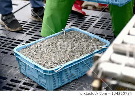 沙矛:家鄉的味道 沙矛:家鄉的味道 134260784