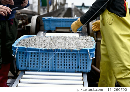沙矛:家鄉的味道 沙矛:家鄉的味道 134260790