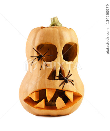 Carved scary halloween face on an orange Butternut squash with black spiders isolated on white background 134260979