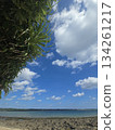 A sunny winter day in Ishigaki Island. Winter in Okinawa is cold, too. A sunny winter day in Ishigaki Island. Winter in Okinawa is cold, too. 134261217