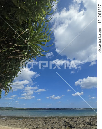 A sunny winter day in Ishigaki Island. Winter in Okinawa is cold, too. A sunny winter day in Ishigaki Island. Winter in Okinawa is cold, too. 134261217