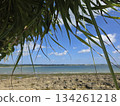 A sunny winter day in Ishigaki Island. Winter in Okinawa is cold, too. A sunny winter day in Ishigaki Island. Winter in Okinawa is cold, too. 134261218