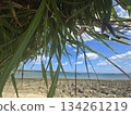 A sunny winter day in Ishigaki Island. Winter in Okinawa is cold, too. A sunny winter day in Ishigaki Island. Winter in Okinawa is cold, too. 134261219