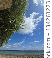 A sunny winter day in Ishigaki Island. Winter in Okinawa is cold, too. A sunny winter day in Ishigaki Island. Winter in Okinawa is cold, too. 134261223