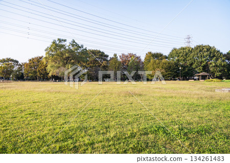 今泉中央公園 今泉中央公園 134261483